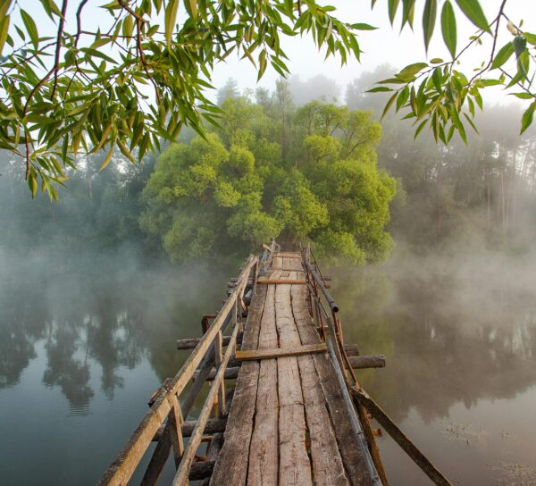 Czasem jedno pytanie rozwala cały system…
