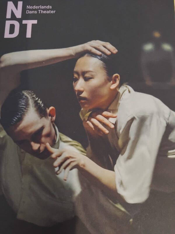 Wildsong. Świadomość, światło i ciało, które pamięta